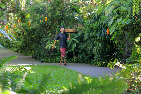 Mahagiri Tropical Garden